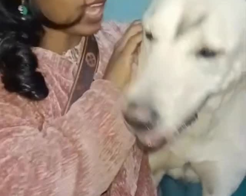 A woman holding the dog who was returned to his family